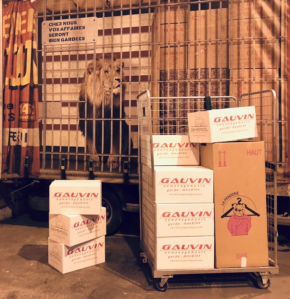 Mise en scène humoristique avec un lion gardant les cartons de déménagement Gauvin pour symboliser une sécurité totale.