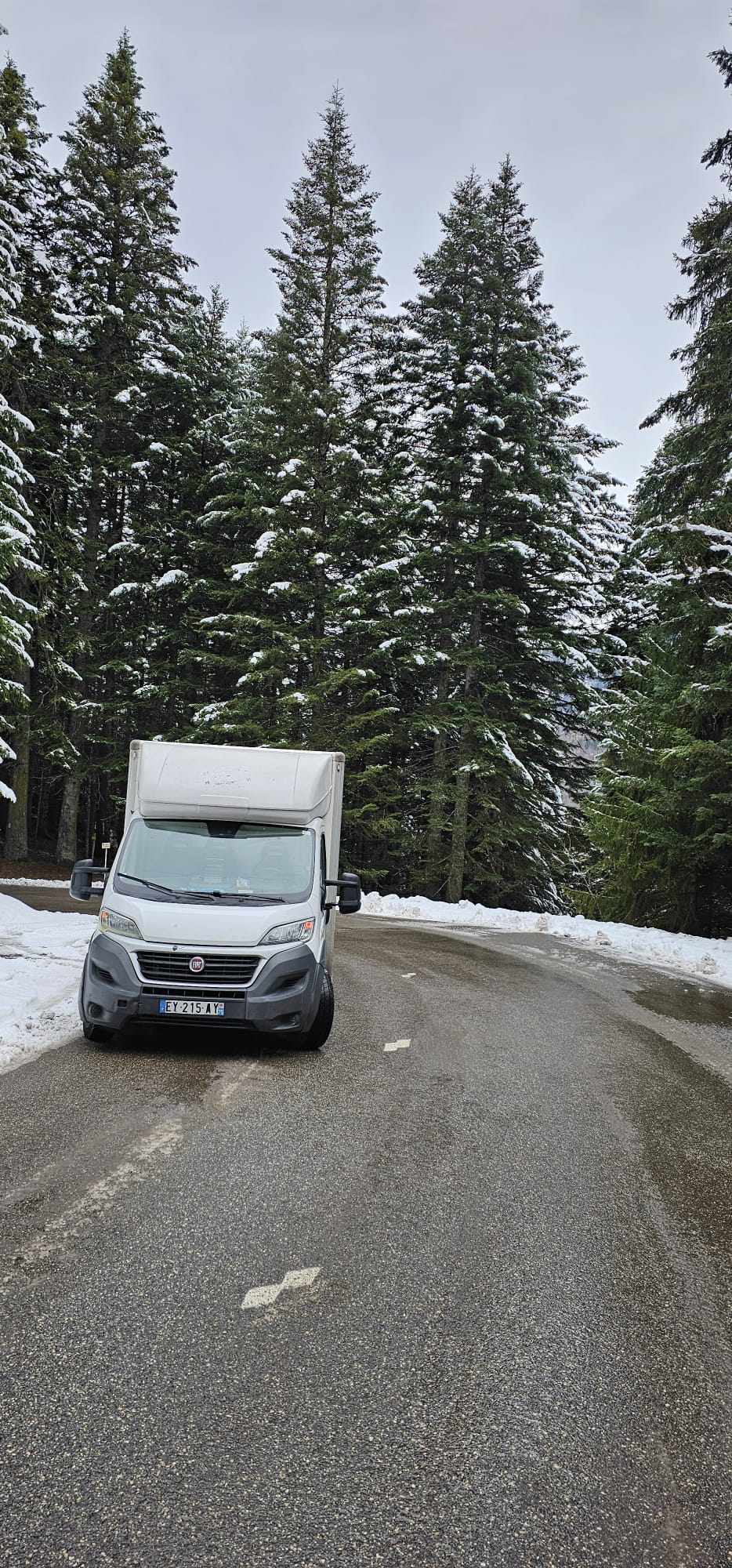 Vue de face d'un camion utilitaire de déménagement blanc sur une route goudronnée bordée de neige et de grands sapins verts.